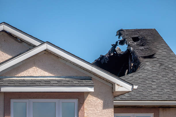 Top rated local Fire Damage Removal specialists in Florida, FL